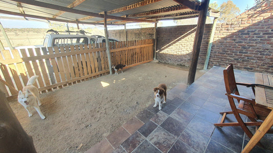 Boschrand Guest Farm Springfontein Free State South Africa Chicken, Bird, Animal, Agriculture, Farm Animal, Dog, Mammal, Pet