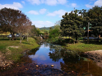 Boschrivier Farm Wittedrift Plettenberg Bay Western Cape South Africa Complementary Colors, River, Nature, Waters