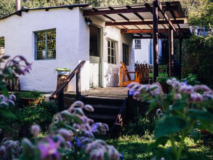 Boschrivier Farm Wittedrift Plettenberg Bay Western Cape South Africa House, Building, Architecture, Garden, Nature, Plant