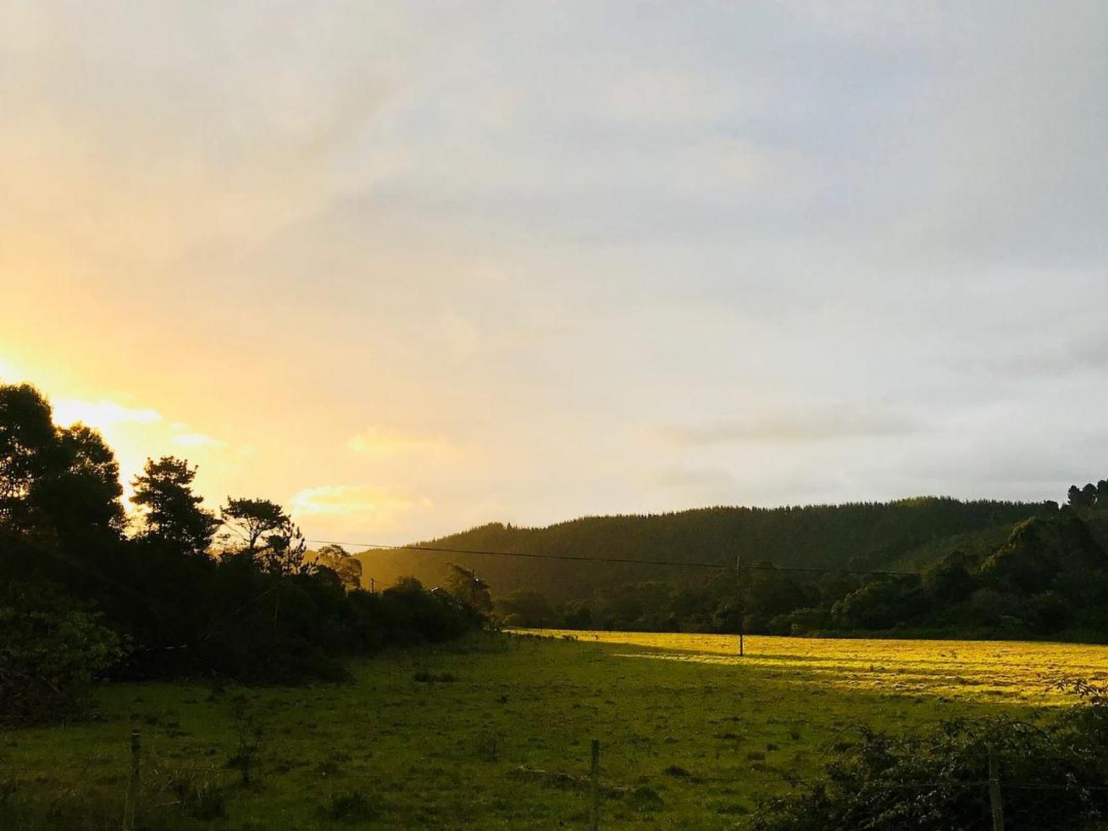 Boschrivier Farm Wittedrift Plettenberg Bay Western Cape South Africa Sky, Nature