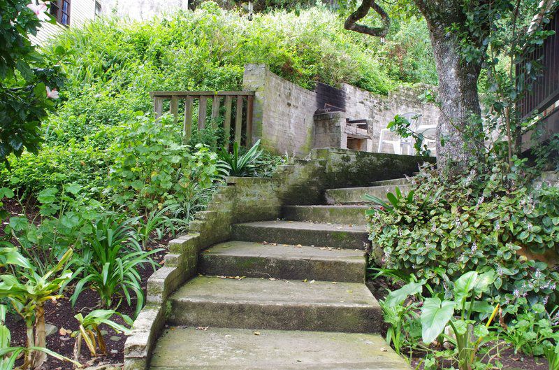 Bos En See Keurboomstrand Western Cape South Africa Stairs, Architecture, Garden, Nature, Plant