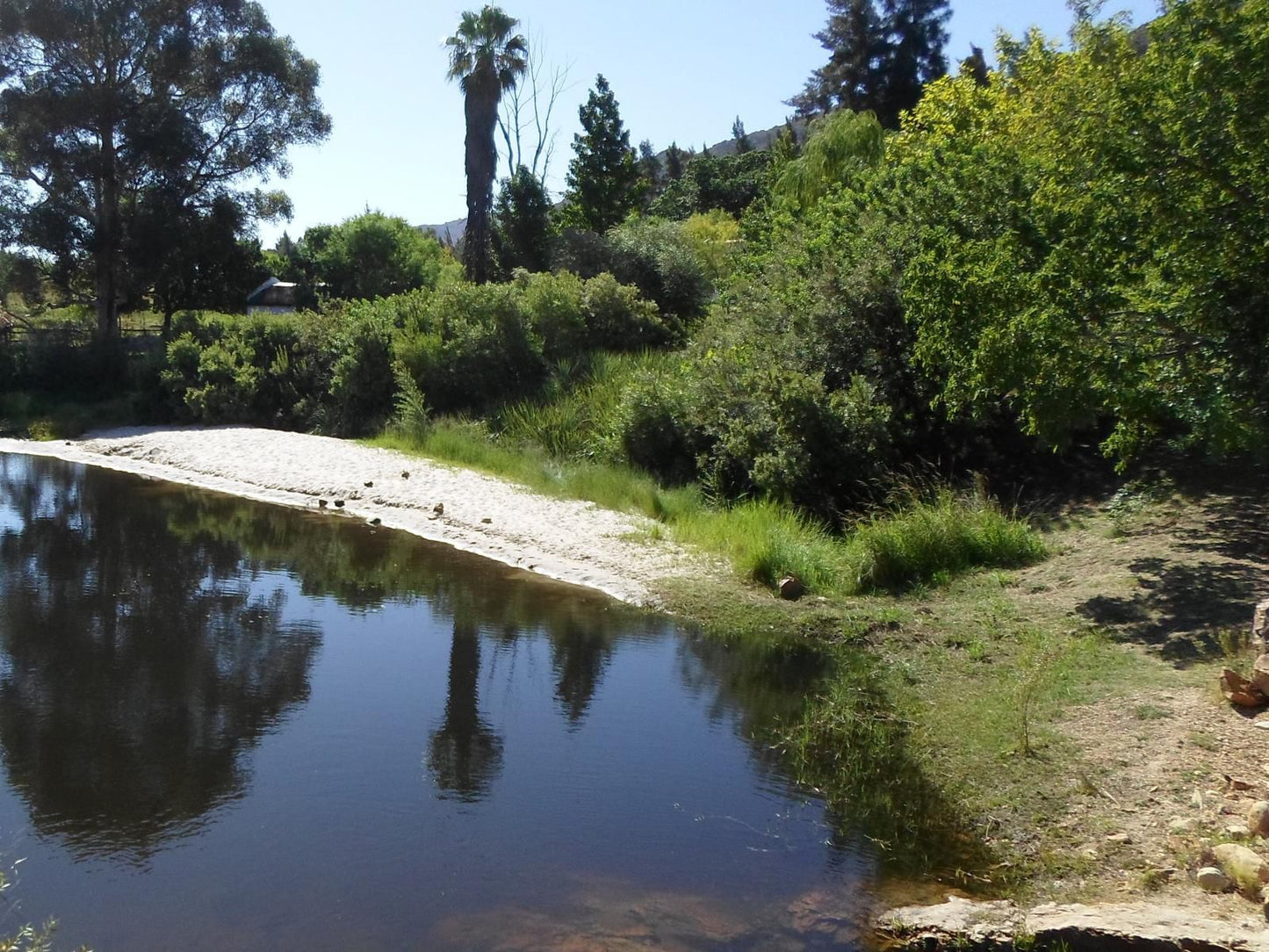 Boskloof Swemgat Clanwilliam Western Cape South Africa Lake, Nature, Waters, River