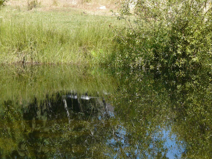 Boskloof Swemgat Clanwilliam Western Cape South Africa River, Nature, Waters