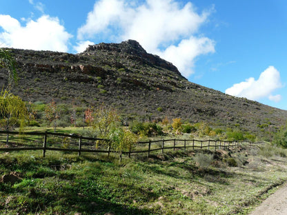 Boskloof Swemgat Clanwilliam Western Cape South Africa Complementary Colors, Nature