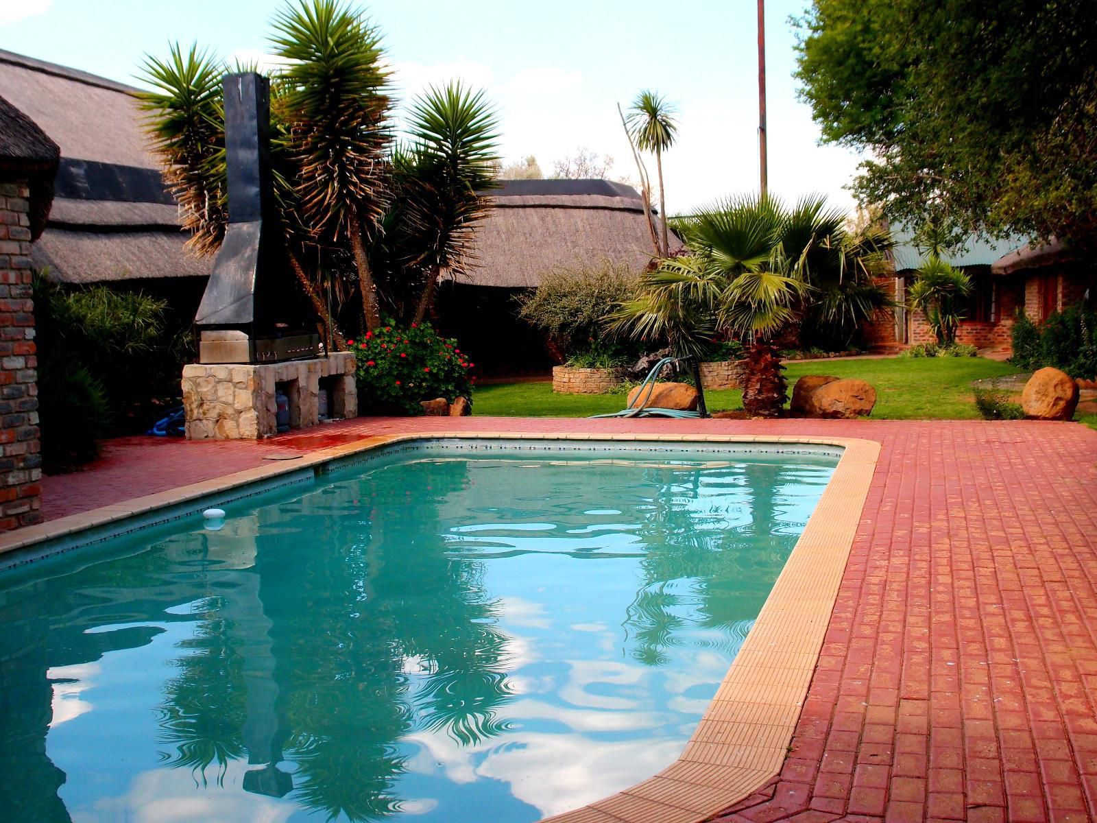 Boskoppie Lion And Tiger Reserve Kroonstad Free State South Africa Complementary Colors, Palm Tree, Plant, Nature, Wood, Garden, Swimming Pool