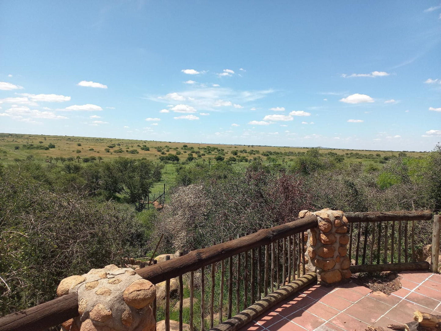 Boskoppie Lion And Tiger Reserve Kroonstad Free State South Africa Complementary Colors, Cactus, Plant, Nature