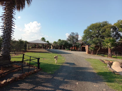 Boskoppie Lion And Tiger Reserve Kroonstad Free State South Africa Palm Tree, Plant, Nature, Wood