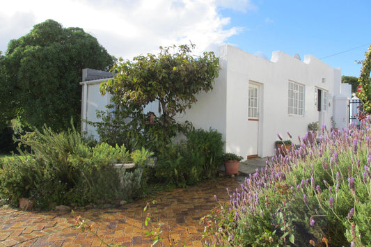 Bosky Dell The Boulders Cape Town Western Cape South Africa House, Building, Architecture, Garden, Nature, Plant