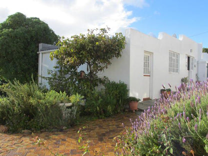 Bosky Dell The Boulders Cape Town Western Cape South Africa House, Building, Architecture, Garden, Nature, Plant