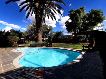 Bosveld In Die Stad 2 Randhart Johannesburg Gauteng South Africa Palm Tree, Plant, Nature, Wood, Garden, Swimming Pool