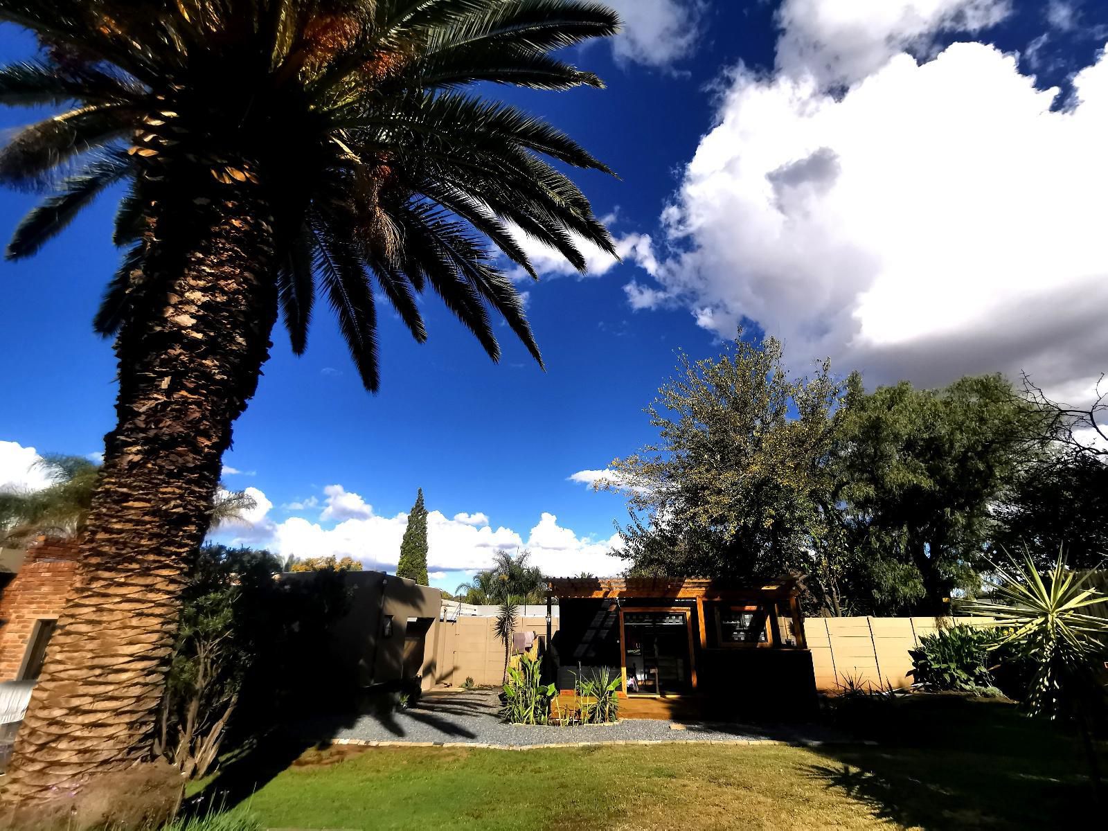 Bosveld In Die Stad 2 Randhart Johannesburg Gauteng South Africa Complementary Colors, Palm Tree, Plant, Nature, Wood