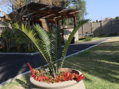 Bosveld In Die Stad 2 Guesthouse, Palm Tree, Plant, Nature, Wood, Garden