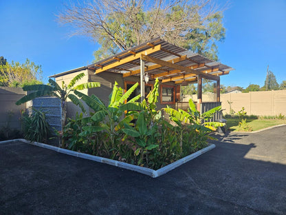 Bosveld In Die Stad 2 Guesthouse, Nguni, Palm Tree, Plant, Nature, Wood