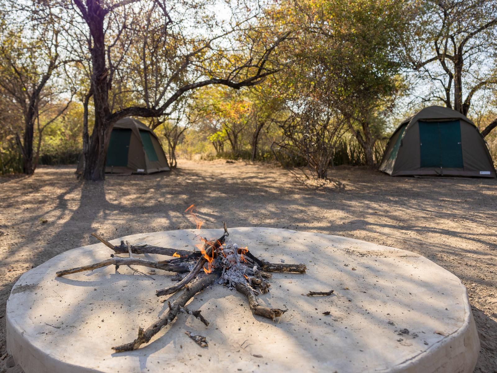 Boteti Tented Safari Lodge Maun North West Botswana Tent, Architecture