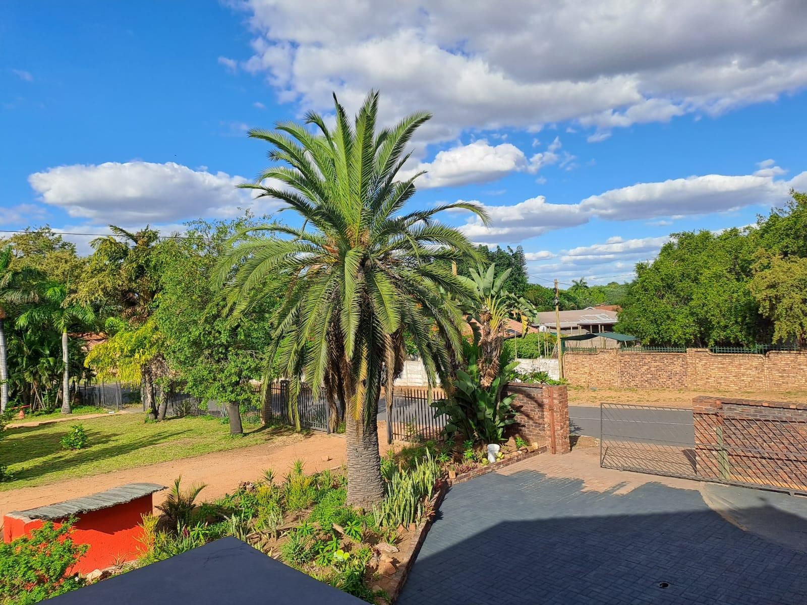 Bothabelo Bed And Breakfast Phalaborwa Limpopo Province South Africa Complementary Colors, Palm Tree, Plant, Nature, Wood, Garden