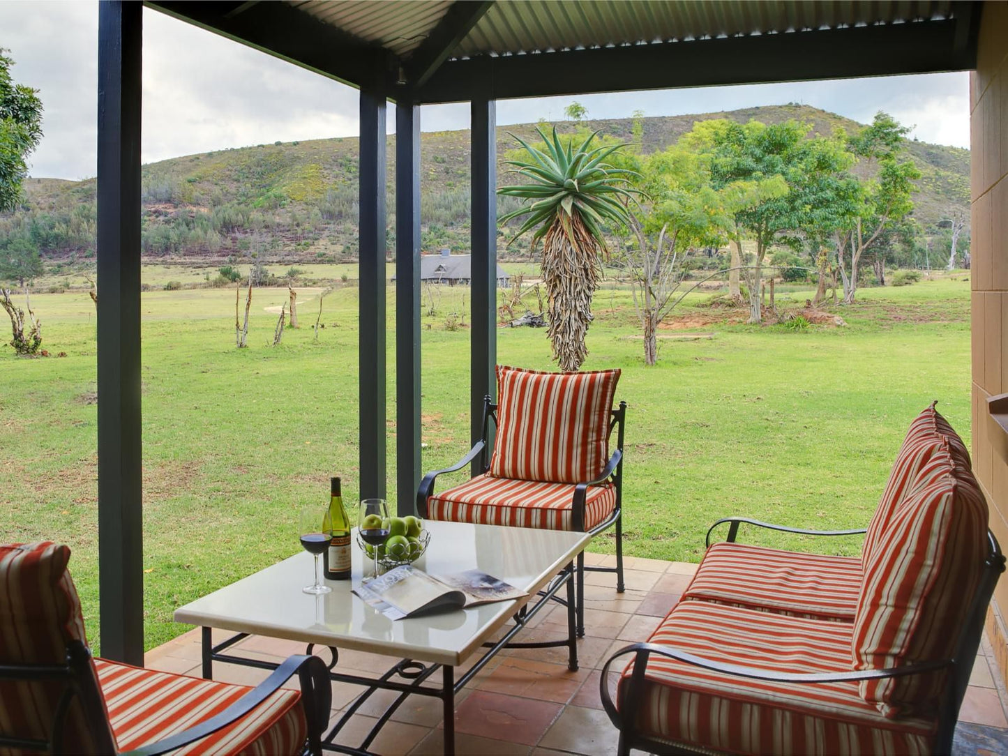 Botlierskop Private Game Reserve Mossel Bay Western Cape South Africa 