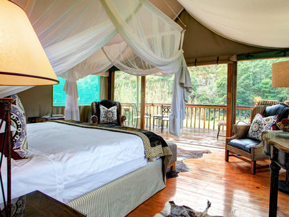 Botlierskop Private Game Reserve Mossel Bay Western Cape South Africa Bedroom