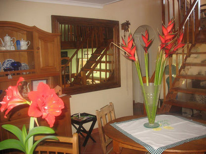 Bottlenose Guesthouse Bandb Salmon Bay Port Edward Kwazulu Natal South Africa Living Room