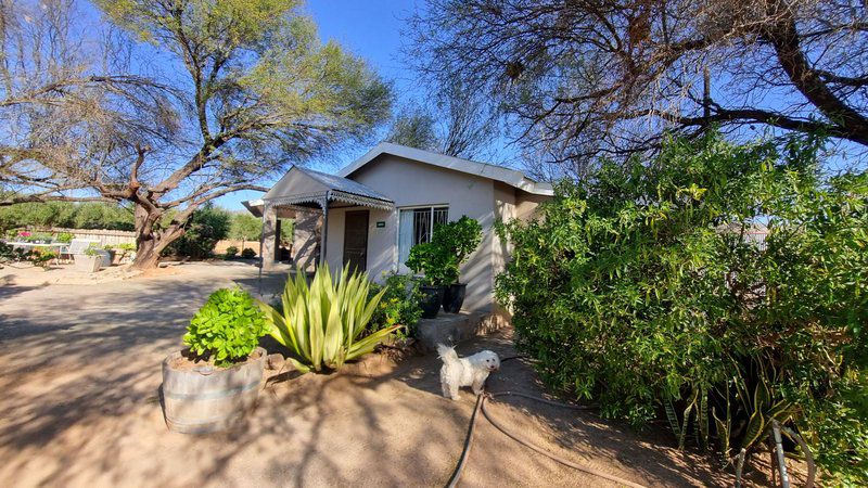 Bo Tuin Cottage Vanrhynsdorp Western Cape South Africa Complementary Colors, Dog, Mammal, Animal, Pet, House, Building, Architecture, Palm Tree, Plant, Nature, Wood, Garden