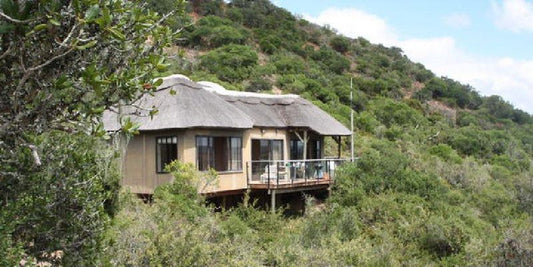 Bou Bou Lodge Amakhala Game Reserve Eastern Cape South Africa House, Building, Architecture