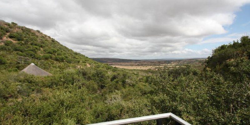 Bou Bou Lodge Amakhala Game Reserve Eastern Cape South Africa Nature