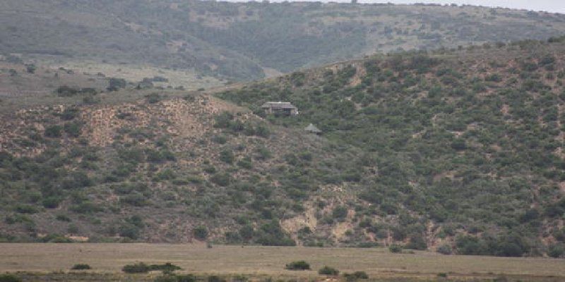 Bou Bou Lodge Amakhala Game Reserve Eastern Cape South Africa Colorless, Ruin, Architecture, Sign, Text, Desert, Nature, Sand