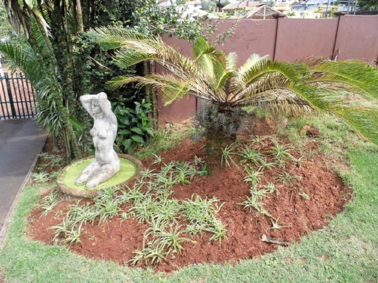 Bougainvillea B And B And Self Catering Glen Hills Durban Kwazulu Natal South Africa Palm Tree, Plant, Nature, Wood, Reptile, Animal, Statue, Architecture, Art, Garden
