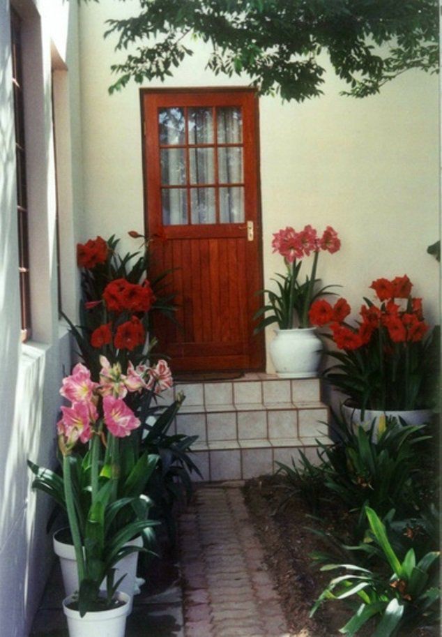 Bougain Villa Prince Albert Western Cape South Africa Door, Architecture, House, Building, Plant, Nature, Garden