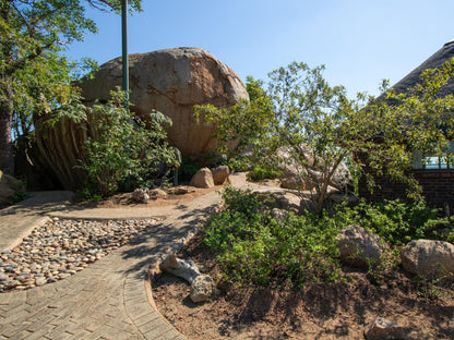 Boulders Bush Lodge Hoedspruit Limpopo Province South Africa Complementary Colors, Plant, Nature