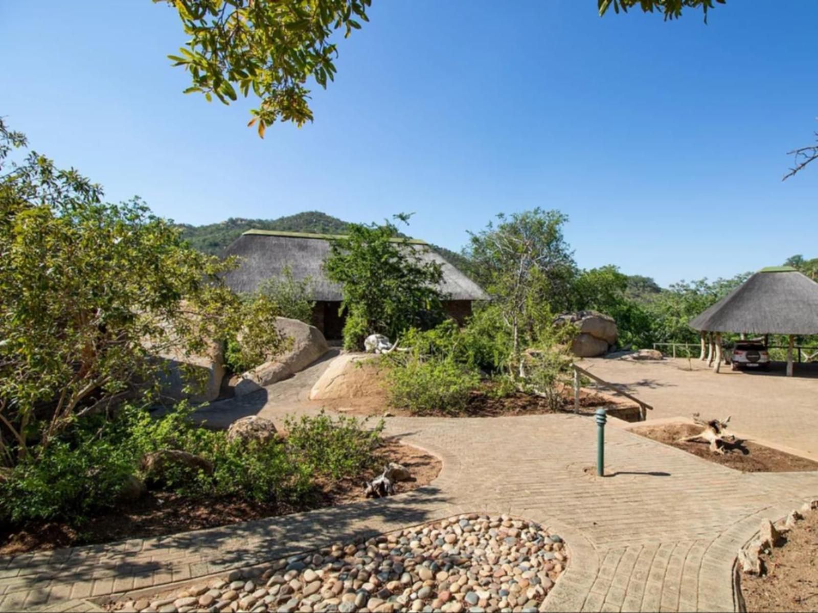 Boulders Bush Lodge Hoedspruit Limpopo Province South Africa Complementary Colors, Palm Tree, Plant, Nature, Wood, Reptile, Animal, Garden