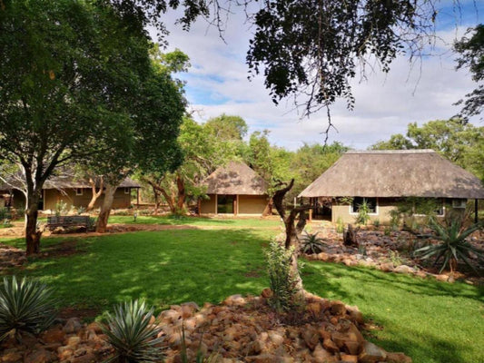 Boulders Safari Lodge Malelane Mpumalanga South Africa Plant, Nature