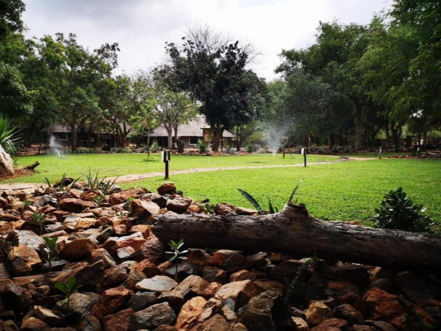 Boulders Safari Lodge Malelane Mpumalanga South Africa Palm Tree, Plant, Nature, Wood