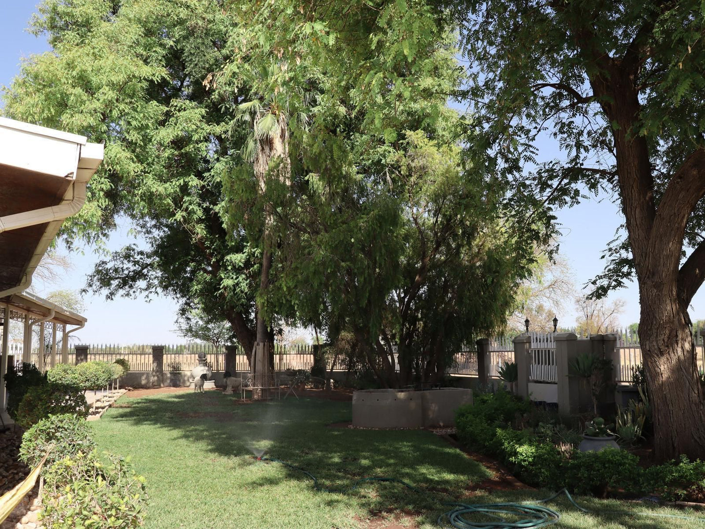 Boutique Guesthouse Mariental, Plant, Nature, Garden