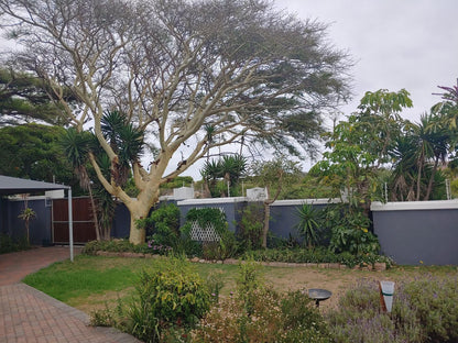 Boutique Hotel On The Bay Humewood Port Elizabeth Eastern Cape South Africa Palm Tree, Plant, Nature, Wood