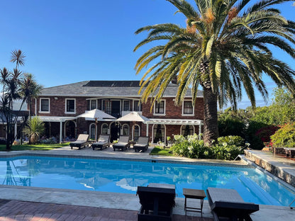 Boutique Villa Guesthouse, House, Building, Architecture, Palm Tree, Plant, Nature, Wood, Swimming Pool