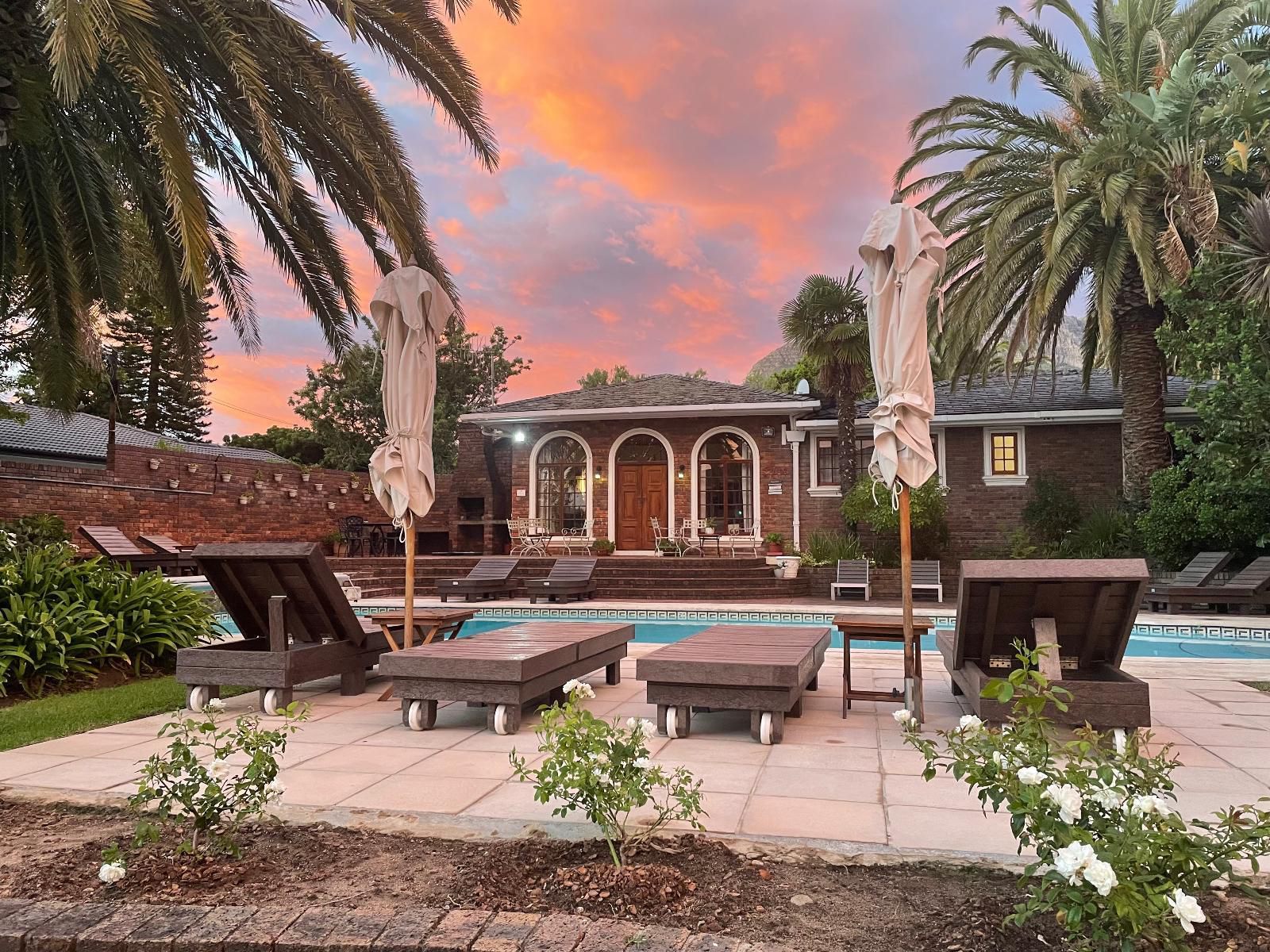 Boutique Villa Guesthouse, House, Building, Architecture, Palm Tree, Plant, Nature, Wood, Garden, Swimming Pool