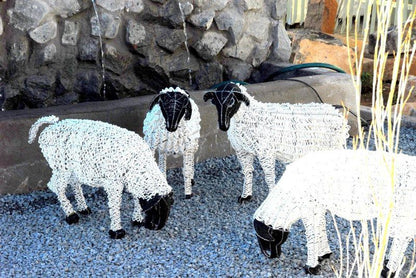 Boutique Guesthouse De Aar Northern Cape South Africa Sheep, Mammal, Animal, Agriculture, Farm Animal, Herbivore
