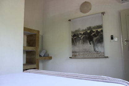 Boutique Lodge Cozy Lion Marloth Park Mpumalanga South Africa Art Gallery, Art, Picture Frame