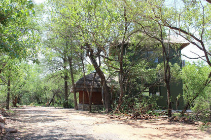 Boutique Lodge Cozy Lion Marloth Park Mpumalanga South Africa Tree, Plant, Nature, Wood