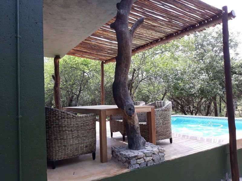 Boutique Lodge Cozy Lion Marloth Park Mpumalanga South Africa Swimming Pool