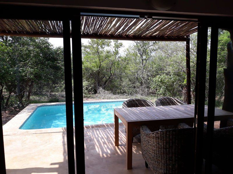 Boutique Lodge Cozy Lion Marloth Park Mpumalanga South Africa Swimming Pool