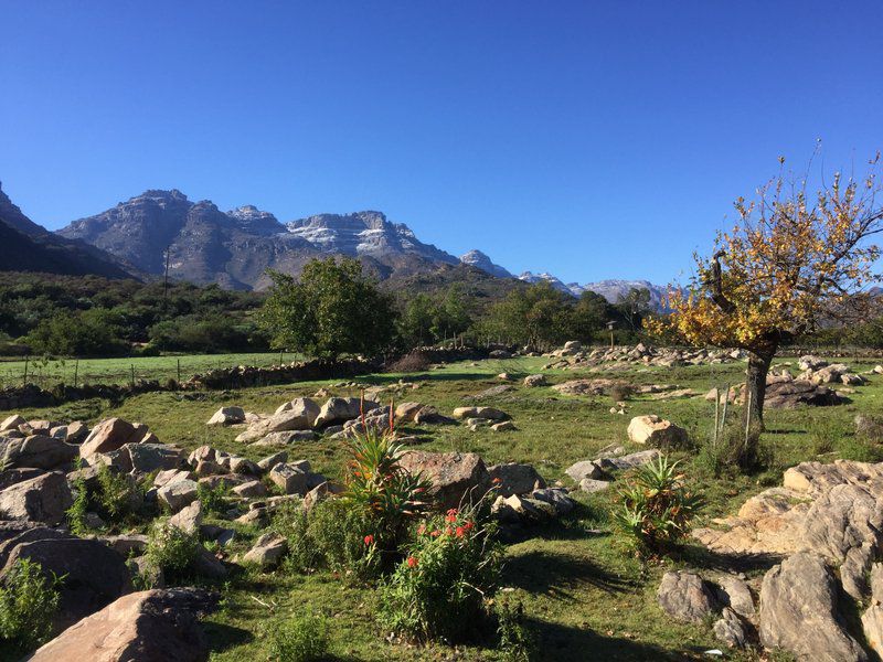 Bovlei Guest Farm Clanwilliam Western Cape South Africa Complementary Colors, Mountain, Nature