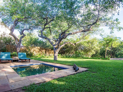 Braai Safaris Lodge, Plant, Nature, Garden, Swimming Pool