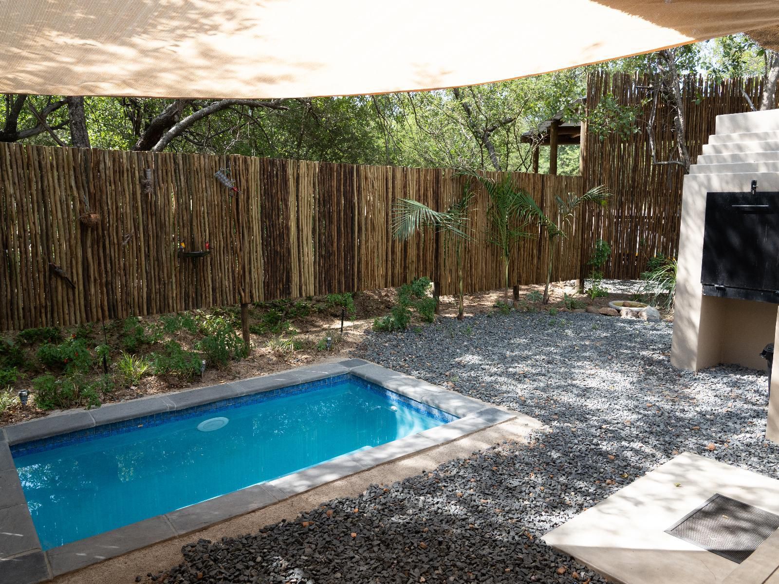 Braai Safaris Lodge, Garden, Nature, Plant, Swimming Pool