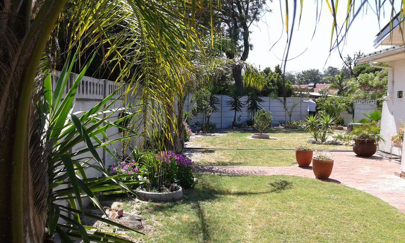 Brackenfell Gaste Akkommodasie Brackenfell Cape Town Western Cape South Africa Palm Tree, Plant, Nature, Wood, Garden