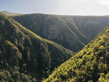 Brackenhills Heidelberg Wc Western Cape South Africa Cliff, Nature, Tree, Plant, Wood, Highland