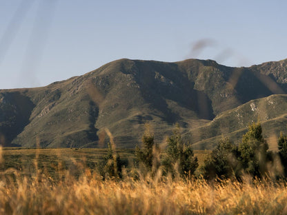 Brackenhills Heidelberg Wc Western Cape South Africa Complementary Colors, Mountain, Nature, Highland