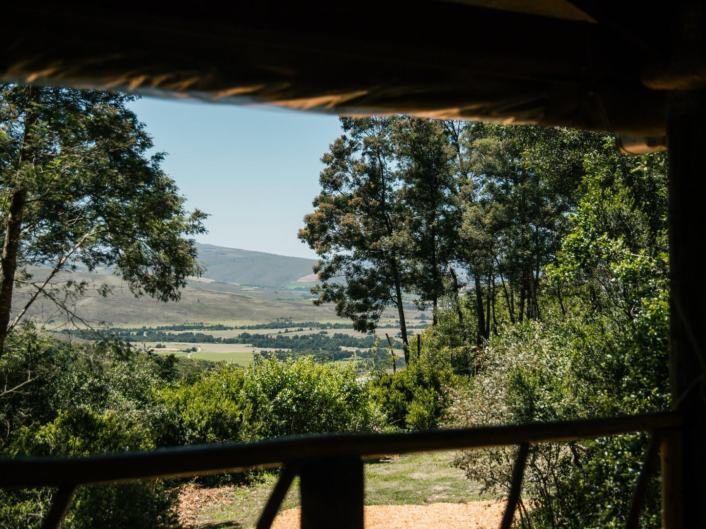 Forest Edge Tent @ Brackenhills