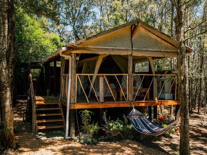 Forest Edge Tent @ Brackenhills