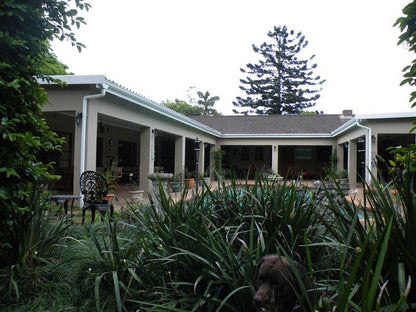 Brackens Guest House Hillcrest Durban Kwazulu Natal South Africa House, Building, Architecture, Palm Tree, Plant, Nature, Wood